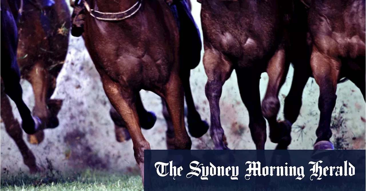 Race-by-race preview and tips for Cootamundra on Sunday