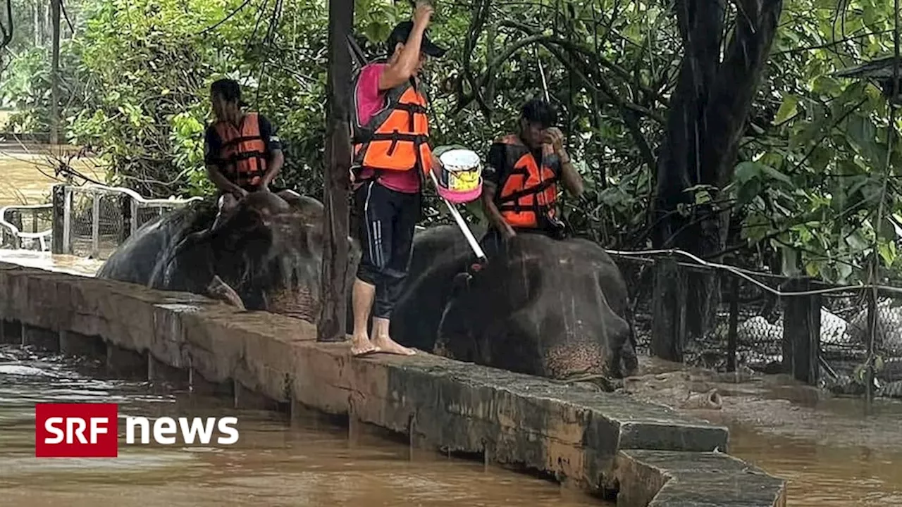 Chiang Mai: Hochwasserlage in Thailands Norden verschärft sich