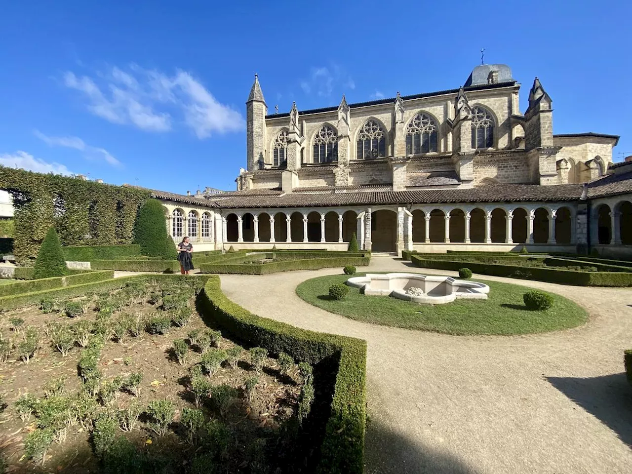 2 200 buis vont être arrachés pour réhabiliter le jardin du cloître à Marmande