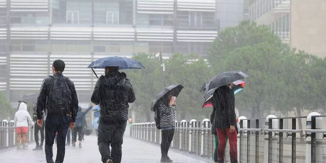 Météo : pluie et orages attendus en début de semaine, un épisode méditerranéen ou cévenol est-il à craindre ?