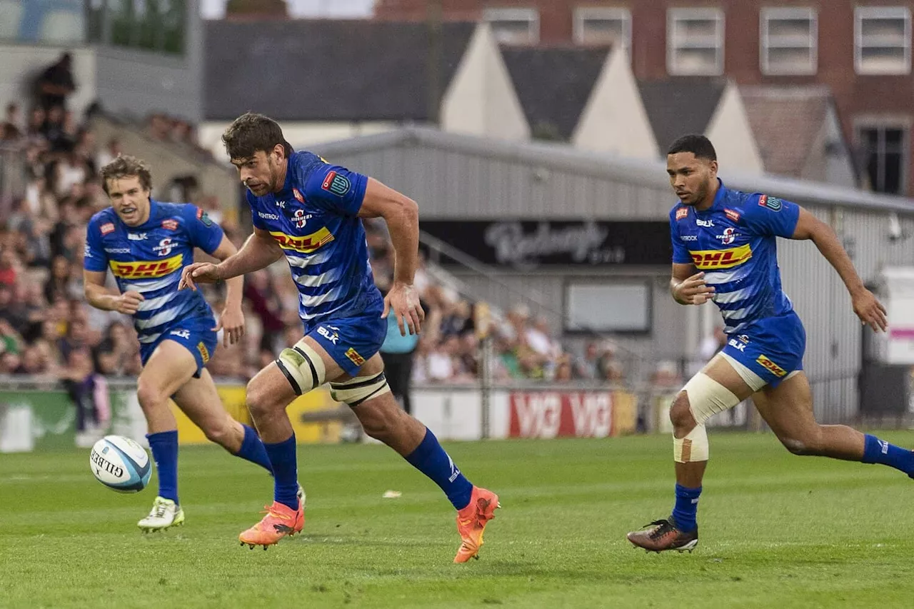 Stormers hunting bounce back URC win against Zebre