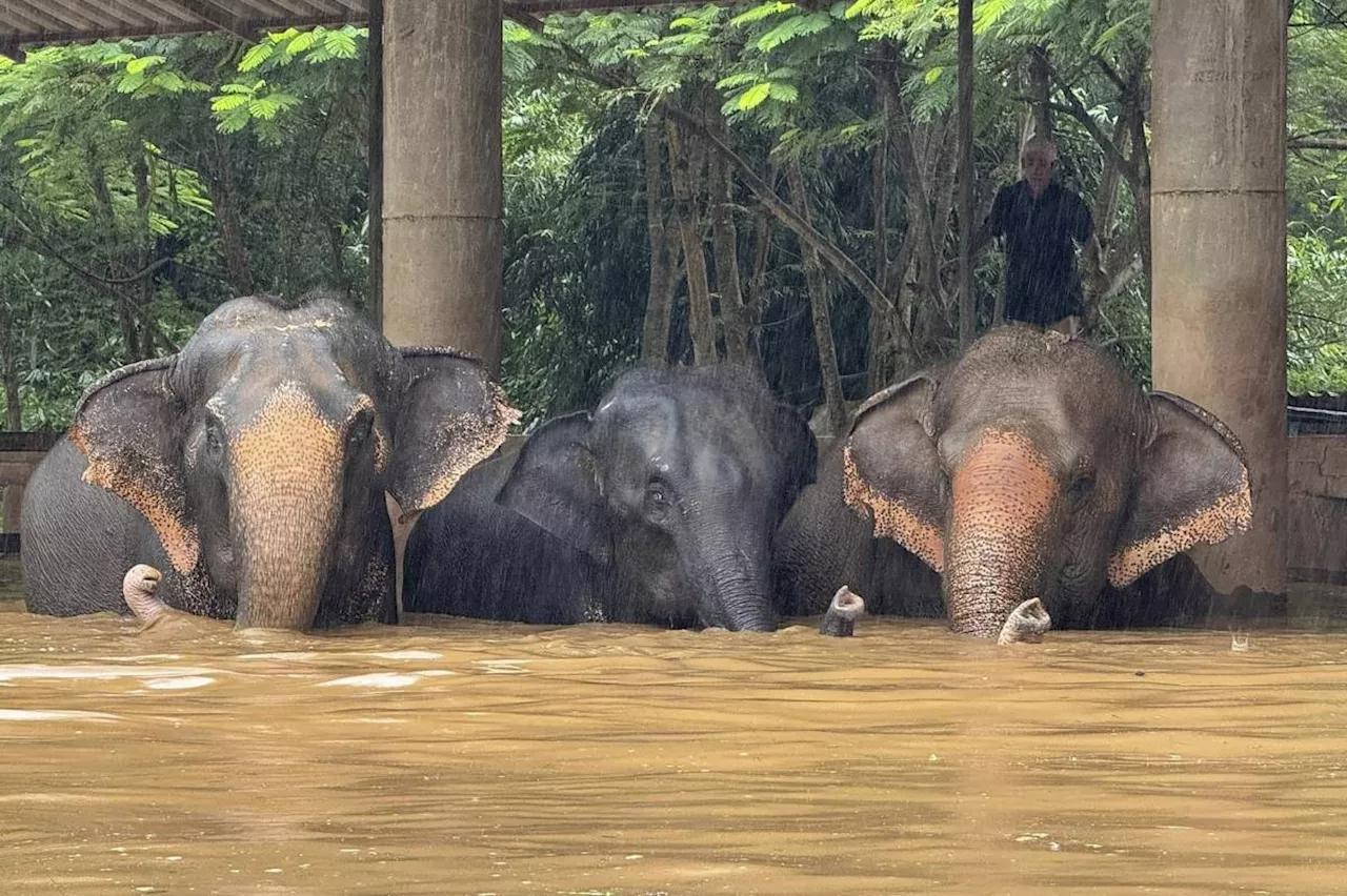 Floods inundate Thailand's northern tourist city of Chiang Mai