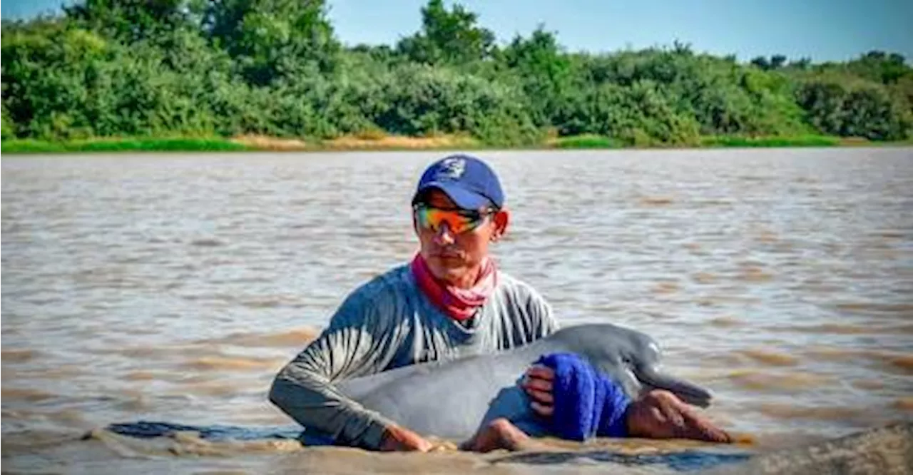 Amazon River Hits Record Low in Manaus, Raising Concerns Amidst Drought