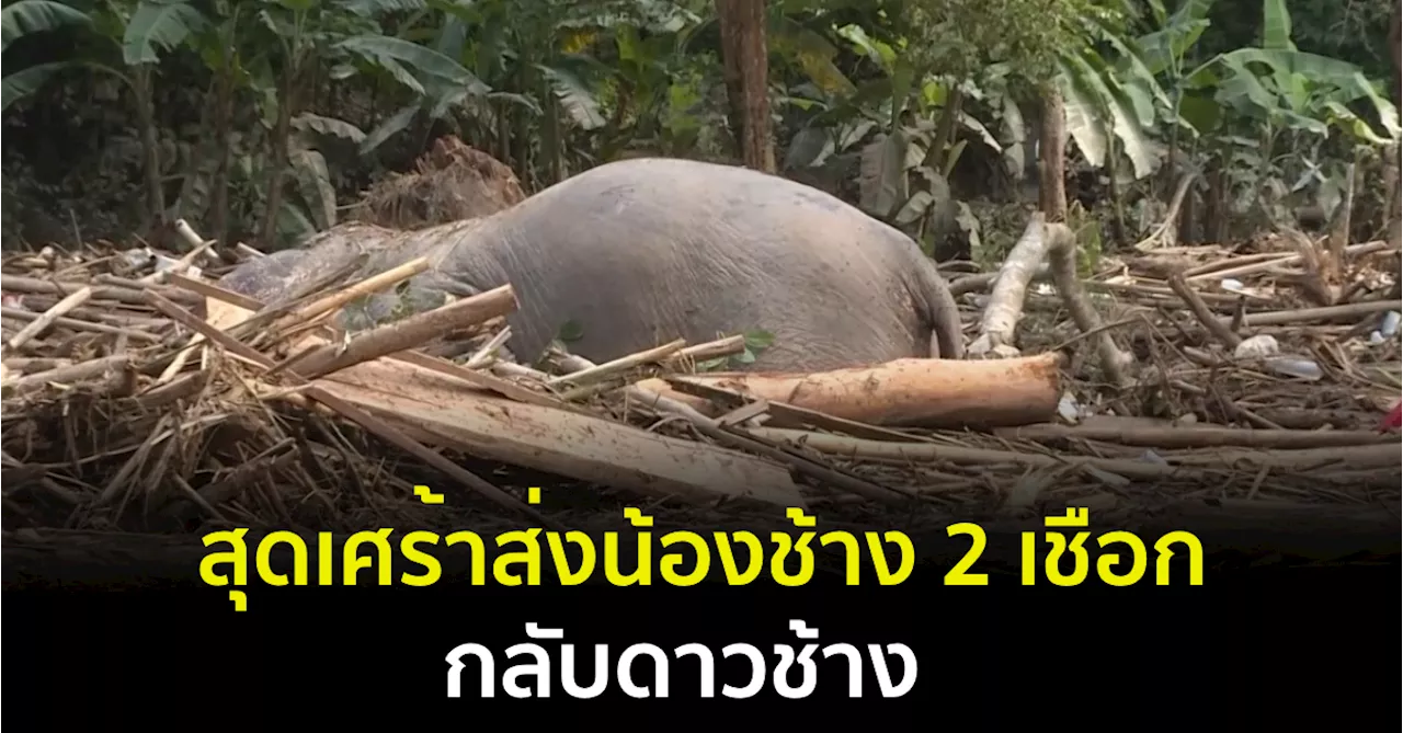 ลำน้ำแม่แตง Archives - สำนักข่าวไทย อสมท