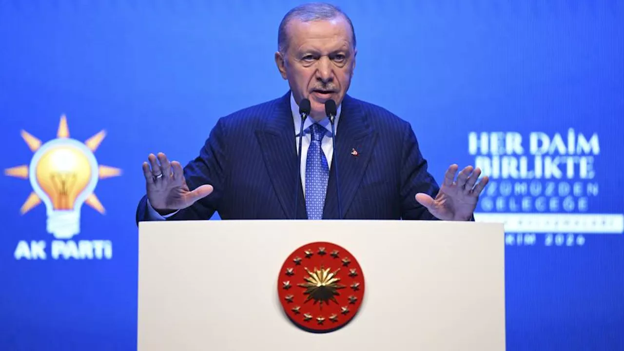 Israel uses regional conflicts as excuses for occupation —President Erdogan