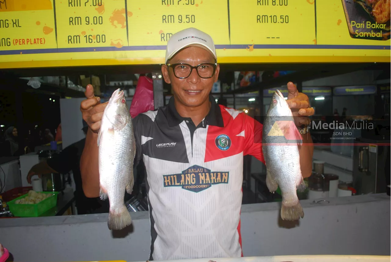 Kilang Makan tawar siakap bakar RM10 malam ini