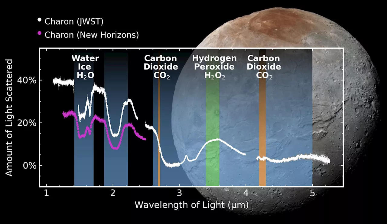 Webb Detects Carbon Dioxide and Hydrogen Perodixe on Pluto's moon Charon