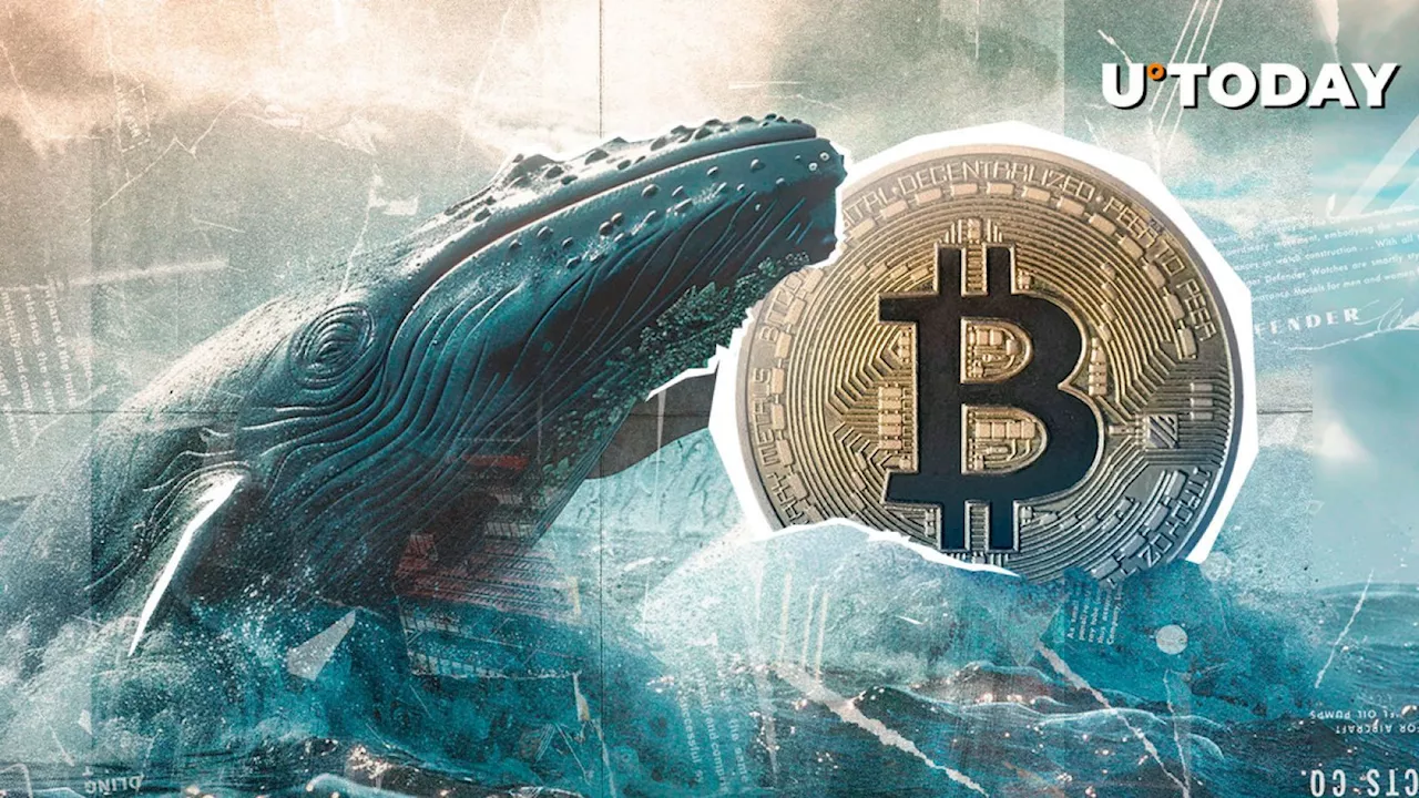 Satoshi-Era Dormant Whale Makes Big BTC Move