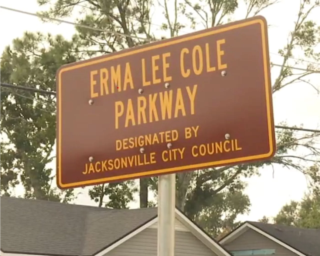 Family, city of Jacksonville honors local woman with street sign in her memory