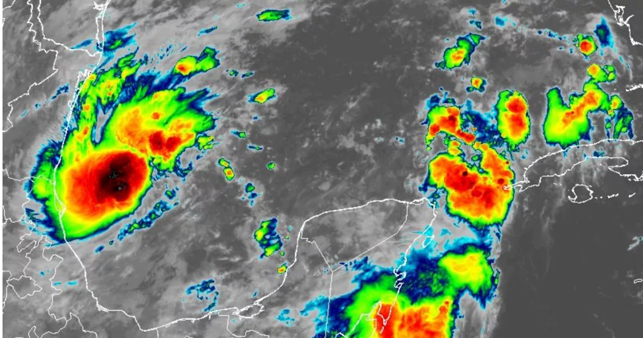 Tropical Depression 14 forms in Gulf of Mexico, expected to strike Florida as hurricane