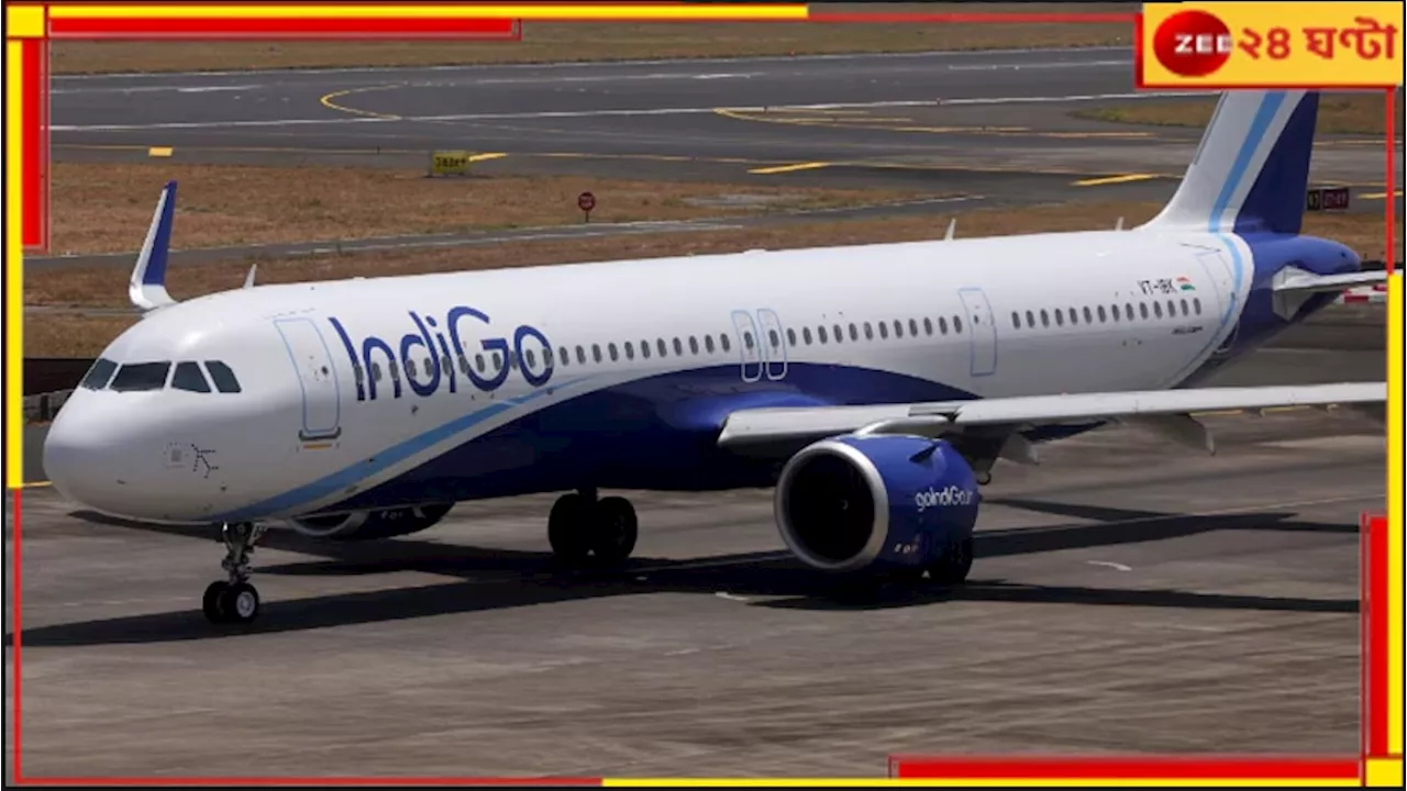 Indigo Airlines: ভোগান্তির আরেক নাম ইন্ডিগো! সিস্টেম স্লোডাউনে দেশজুড়ে যাত্রীদের...