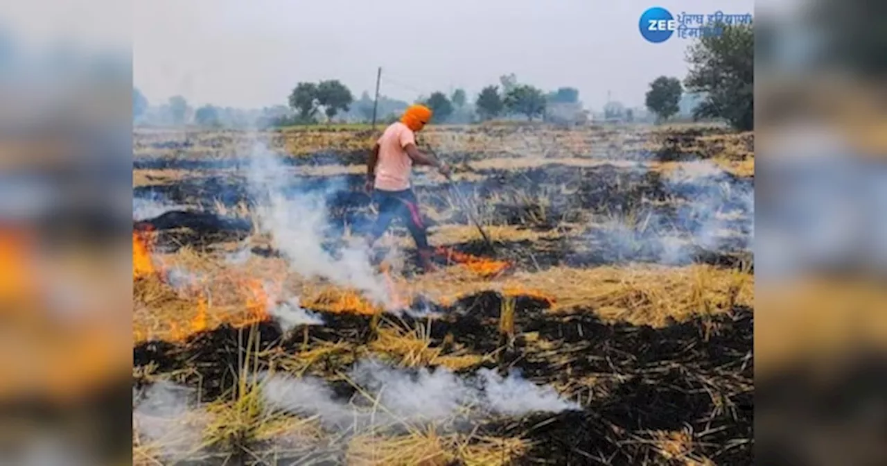 Punjab Stubble Burning Case​: ਪੰਜਾਬ ਵਿੱਚ ਪਿਛਲੇ ਸਾਲ ਦੇ ਮੁਕਾਬਲੇ ਇਸ ਸਾਲ 72% ਘੱਟ ਪਰਾਲੀ ਸਾੜੀ- PPCB