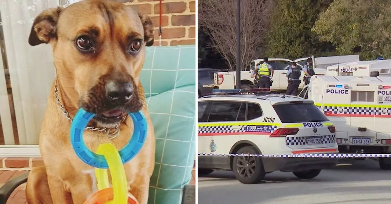 Owners of dog shot by police in Perth call for answers