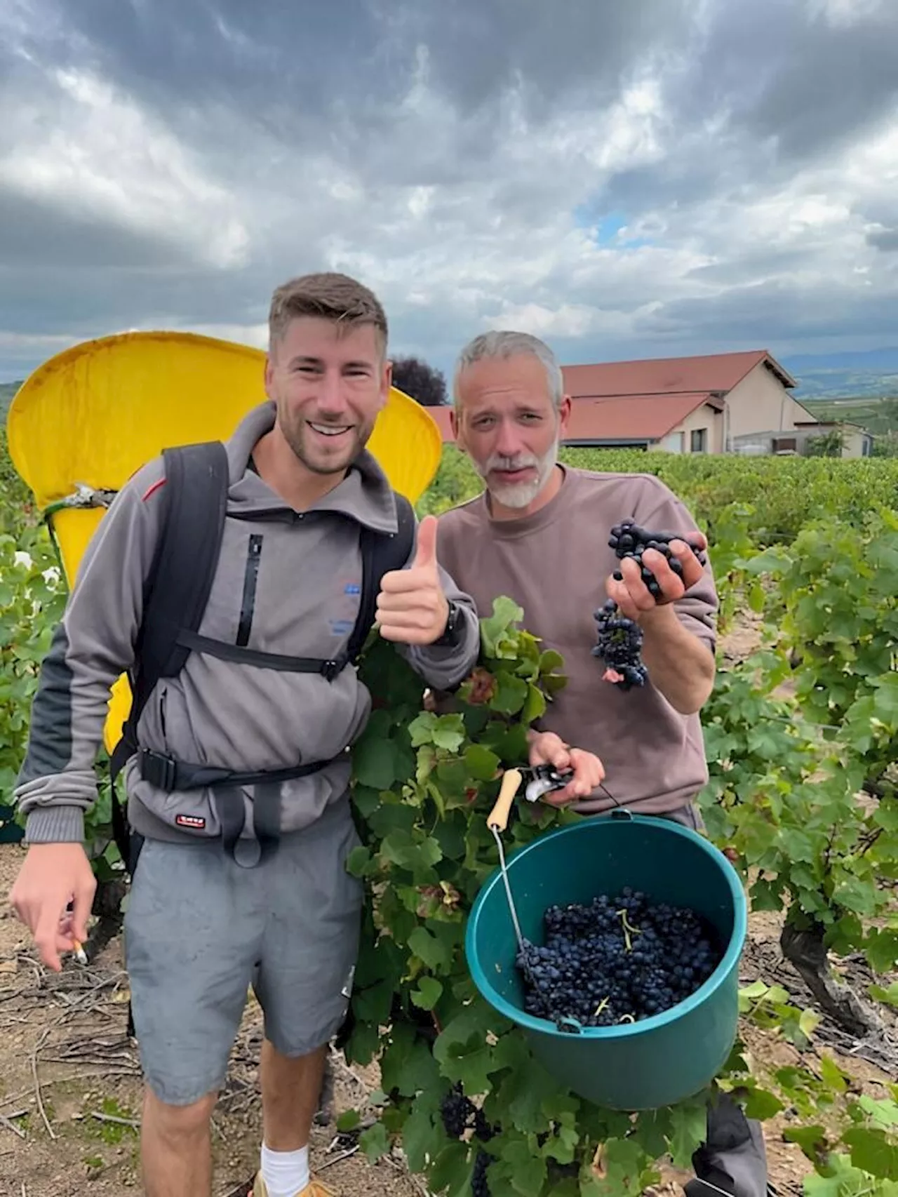 Hervé et Vincent, deux cousins unis par les vendanges