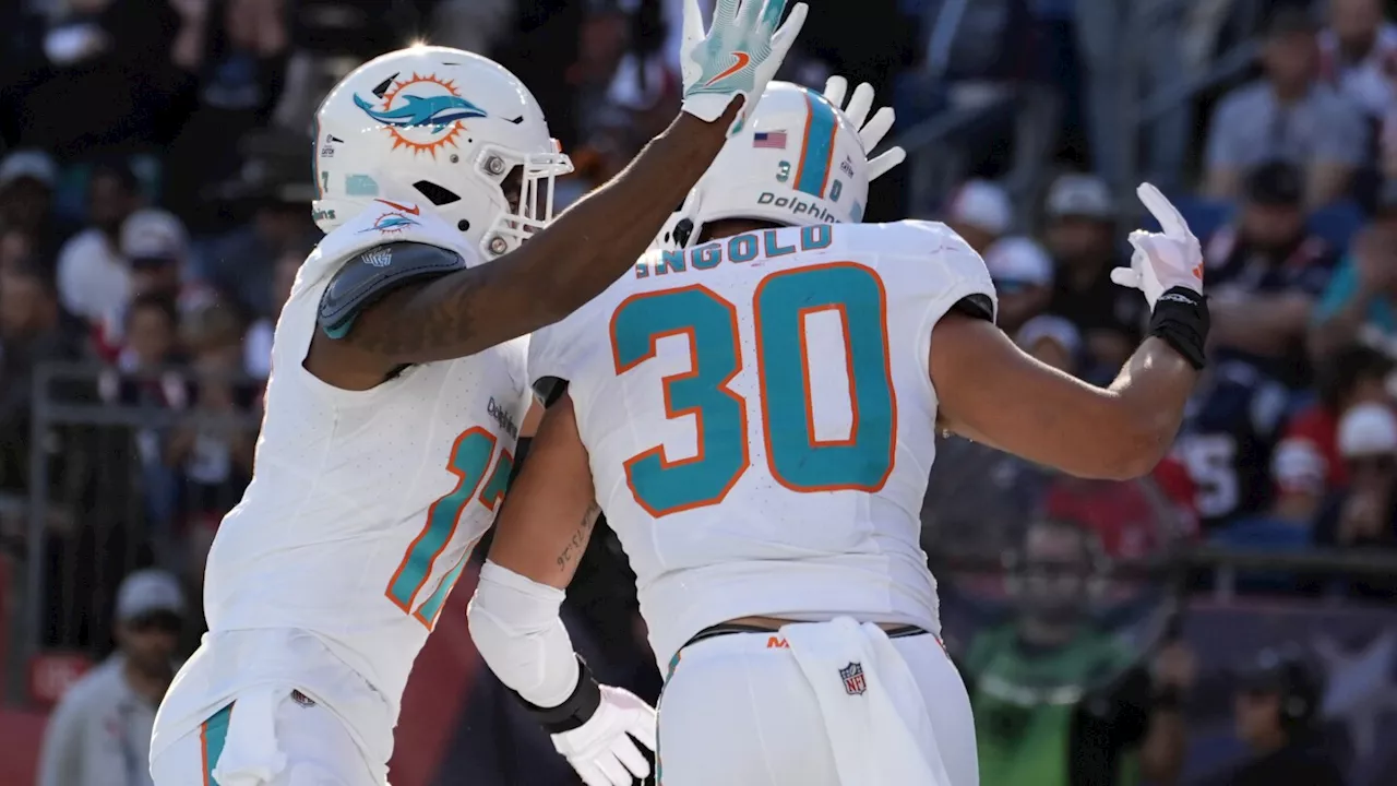 Dolphins pick up sloppy 15-10 victory over Patriots