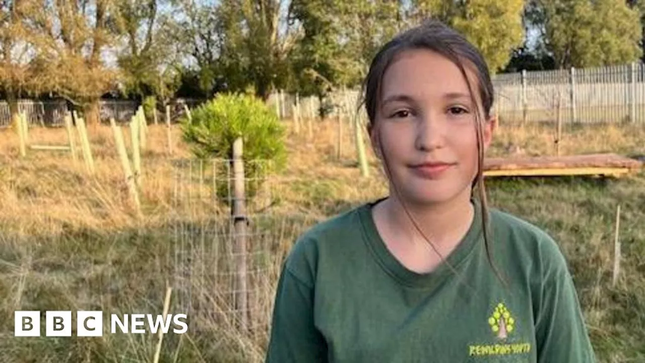 Phone ban helping young people from Hull get back to nature