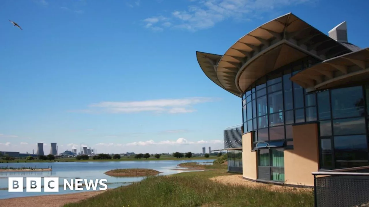 Stockton nature reserve gets new island for rare seabirds