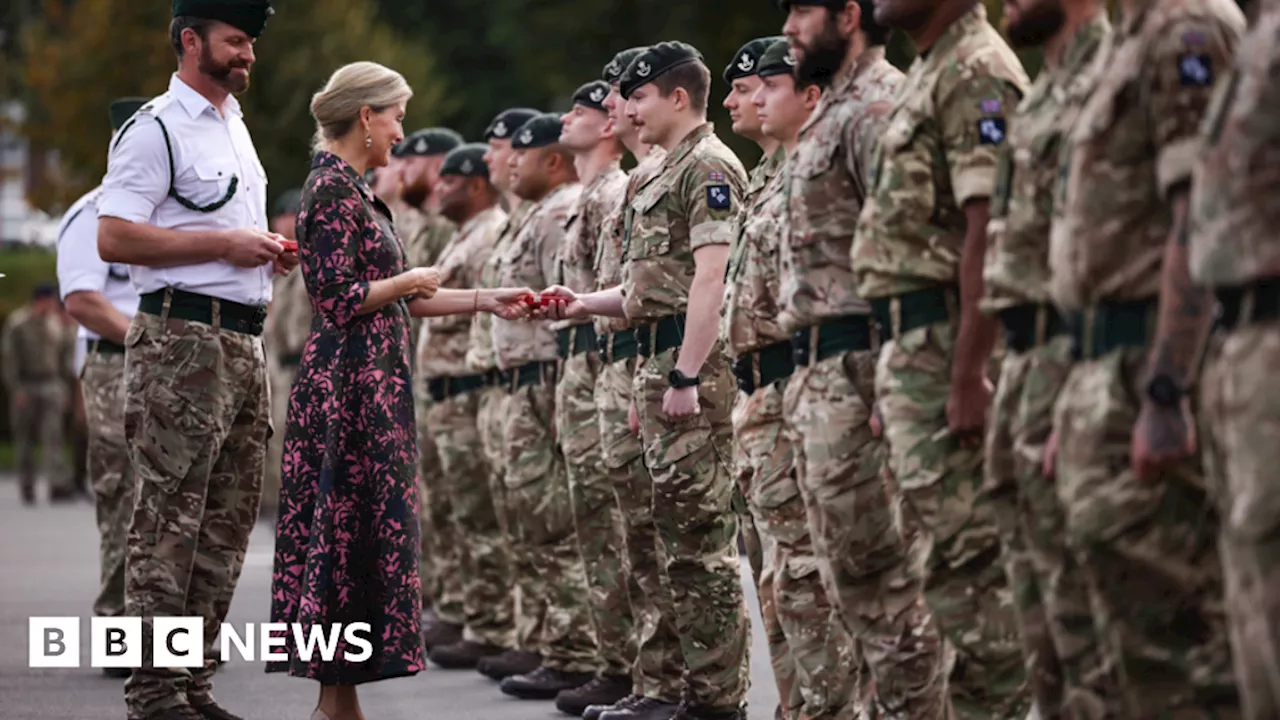 Wiltshire in pictures: Tiger cubs and a military homecoming