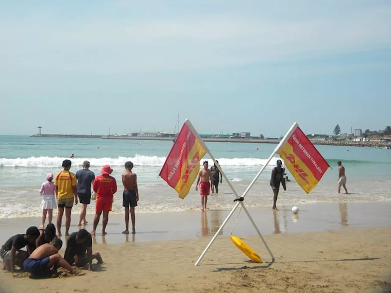 2 seal attacks reported at Mossel Bay beach