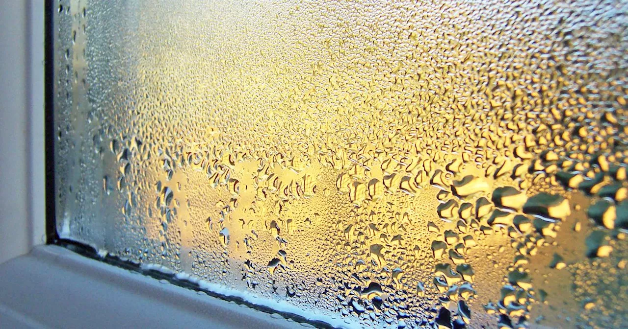 Condensation stopped by cleaning expert's 'brilliant' 69p kitchen staple hack