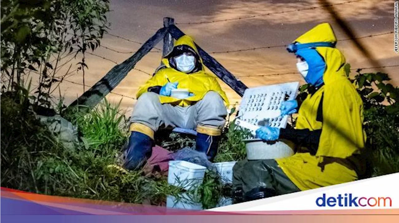 Memahami Ekologi: Pengertian, Komponen hingga Contohnya