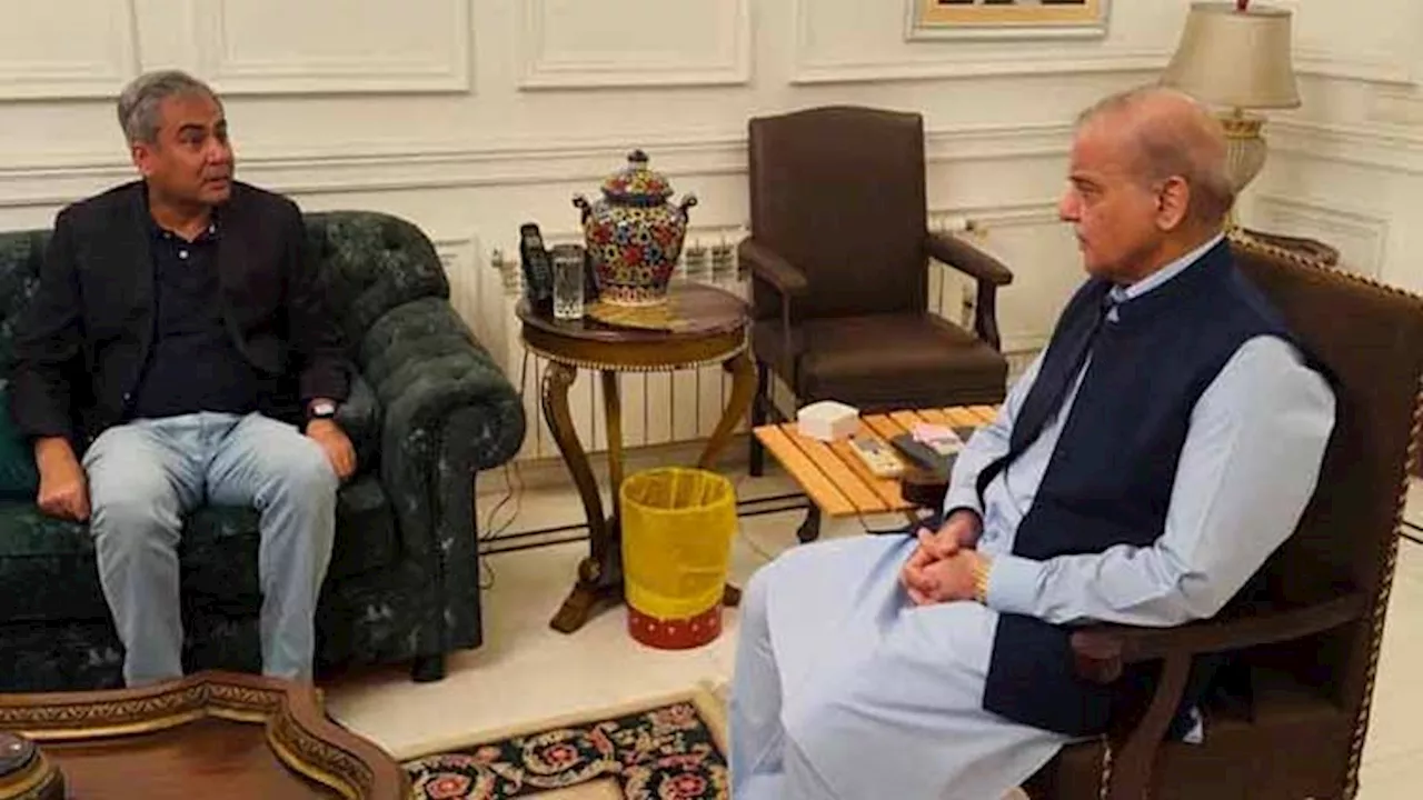 Naqvi briefs PM Shehbaz on law and order situation