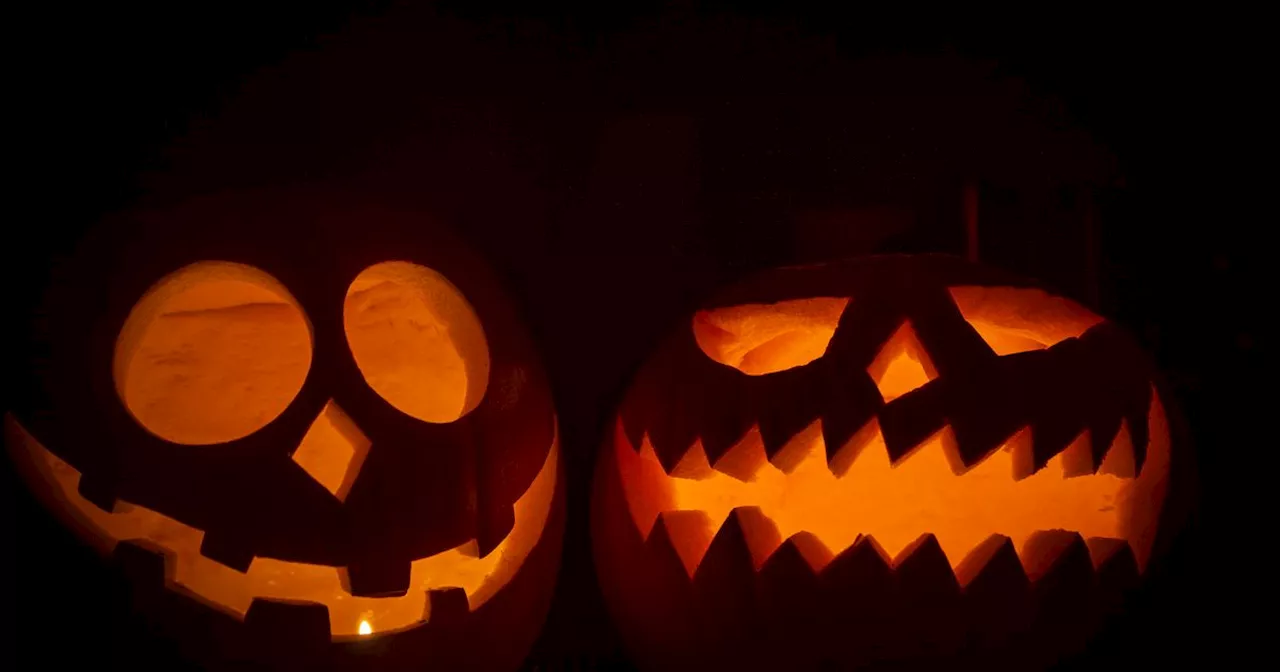 When To Carve Your Pumpkin For A Spooktacular Halloween