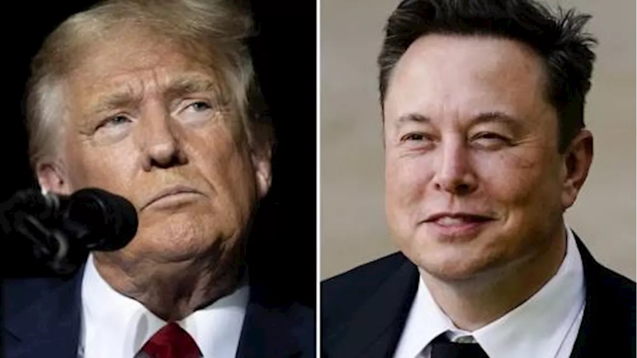 U.S. election 2024: Trump taps Elon Musk to head ‘government efficiency’ panel if elected