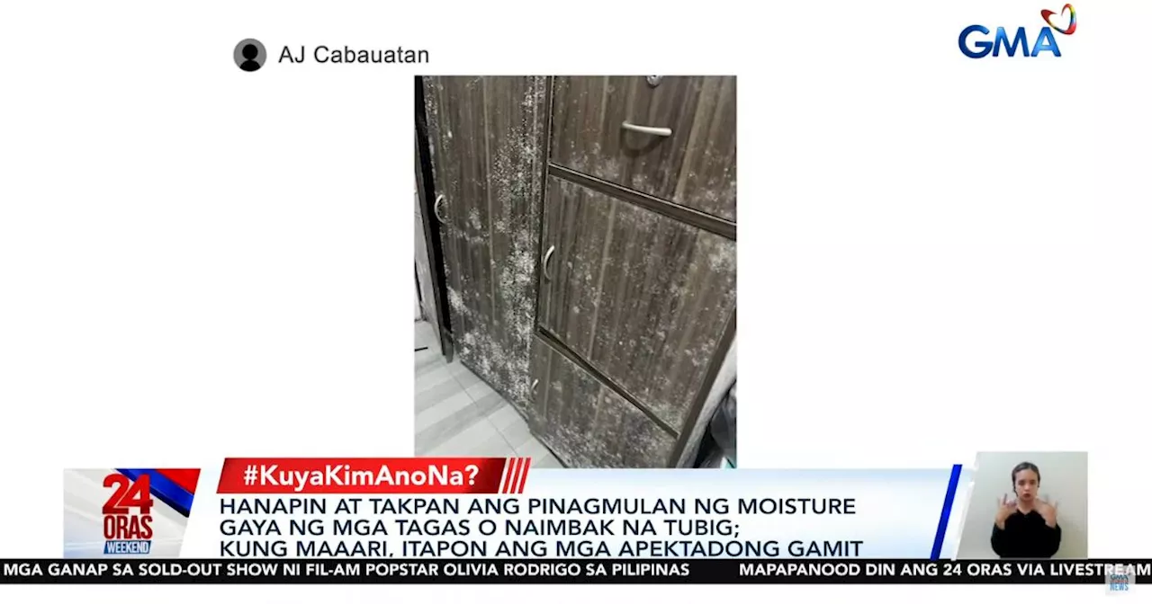 How can we get rid of mold in our house? Kuya Kim explains