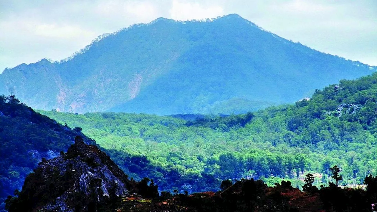 Perubahan Status Kawasan Hutan Mutis: Cagar Alam Menjadi Taman Nasional