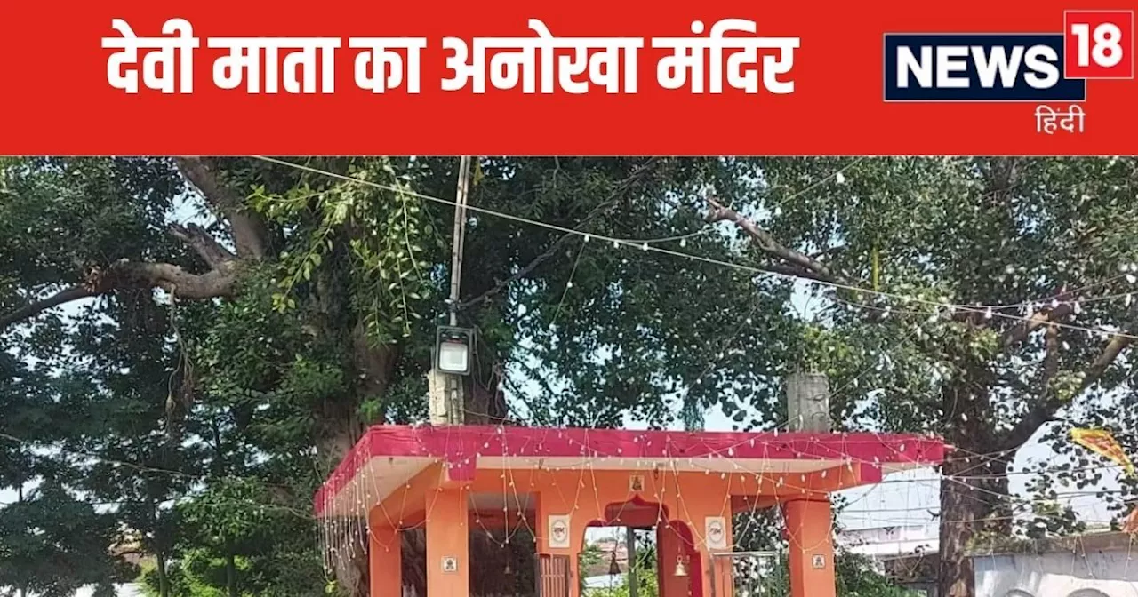 फल नहीं, इस पेड़ से निकलती हैं देवी माता की मूर्तियां, मंदिर के कुएं में है मीठा पानी, जुड़ी अनोखी मान्यता ...