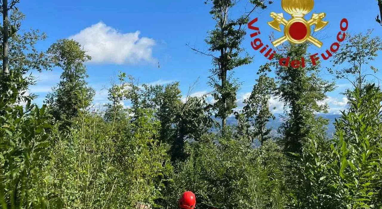 Rocca Priora, donna salvata dai vigili del Fuoco sul Monte Ceraso dopo caduta nel bosco