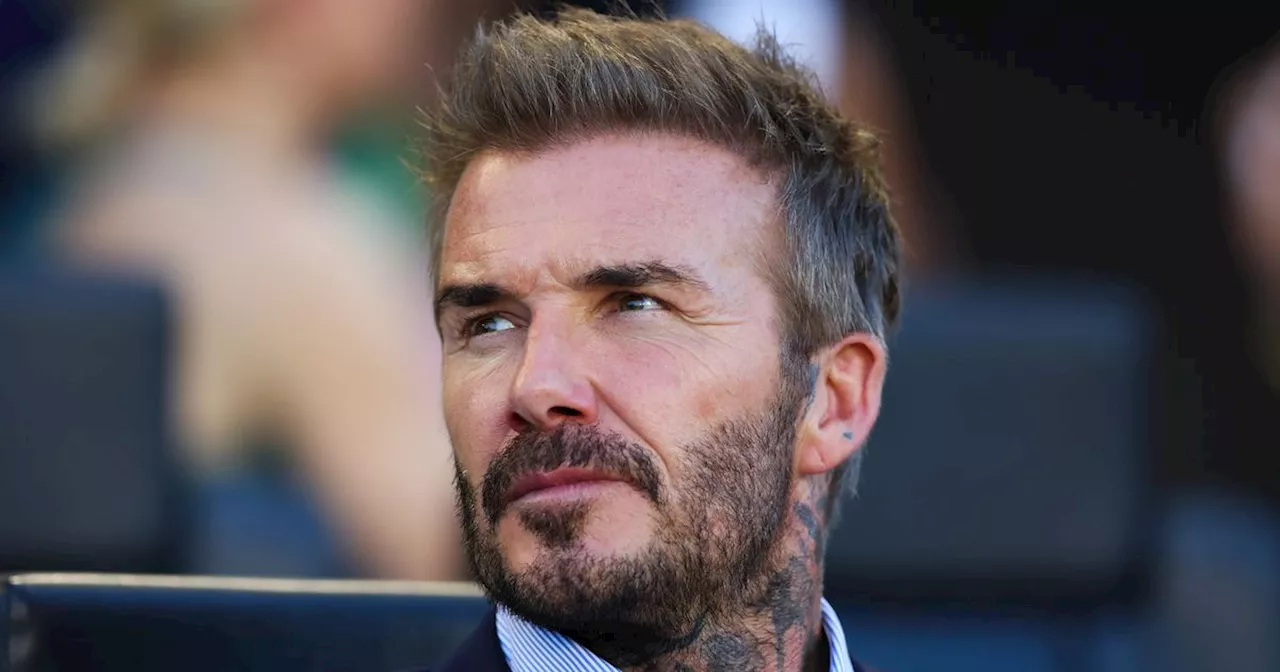 David Beckham enjoying farm life as he shows fans 'handsome' flock of chickens