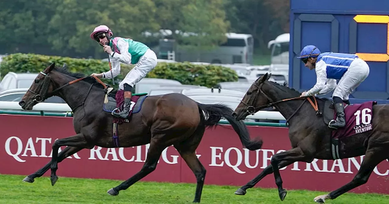 Galway jockey scoops Europe's biggest race at Longchamp