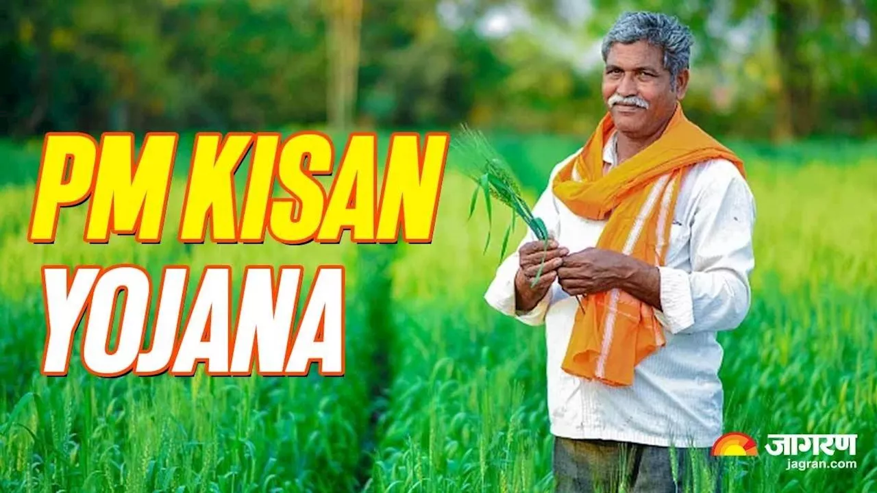 PM Kisan 18th Installment: अकाउंट में अभी तक नहीं आई 18वीं किस्त की राशि? यहां जानें क्या है वजह और कहां करें शिकायत