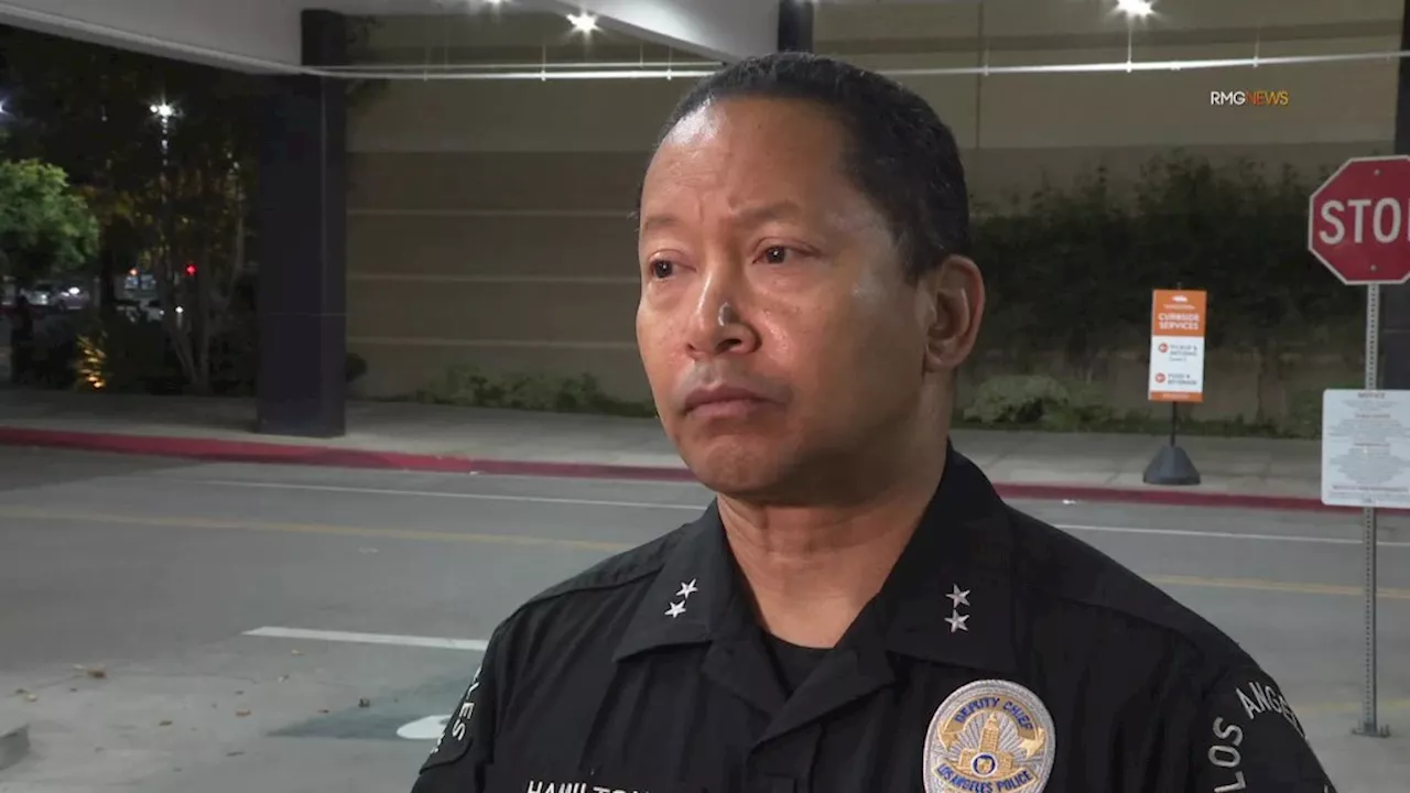 Nordstrom at Westfield Topanga mall hit in latest rash of flash mob robberies