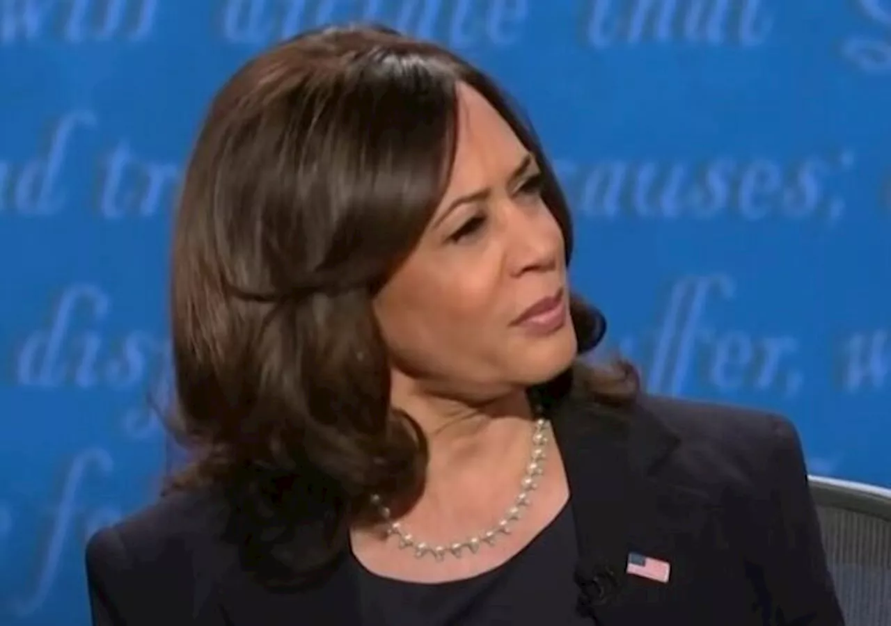 Kamala Harris Prioritized Interview With Sex Podcaster Over Visiting Helene-Ravaged Areas