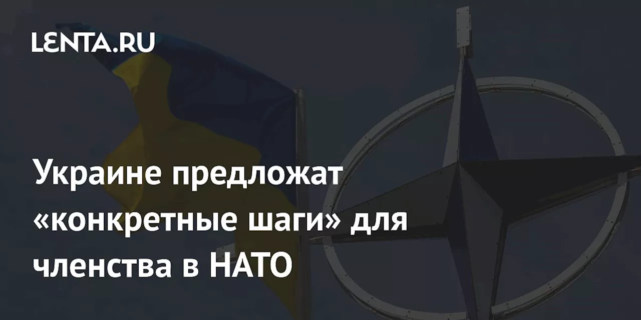 Украине предложат «конкретные шаги» для членства в НАТО