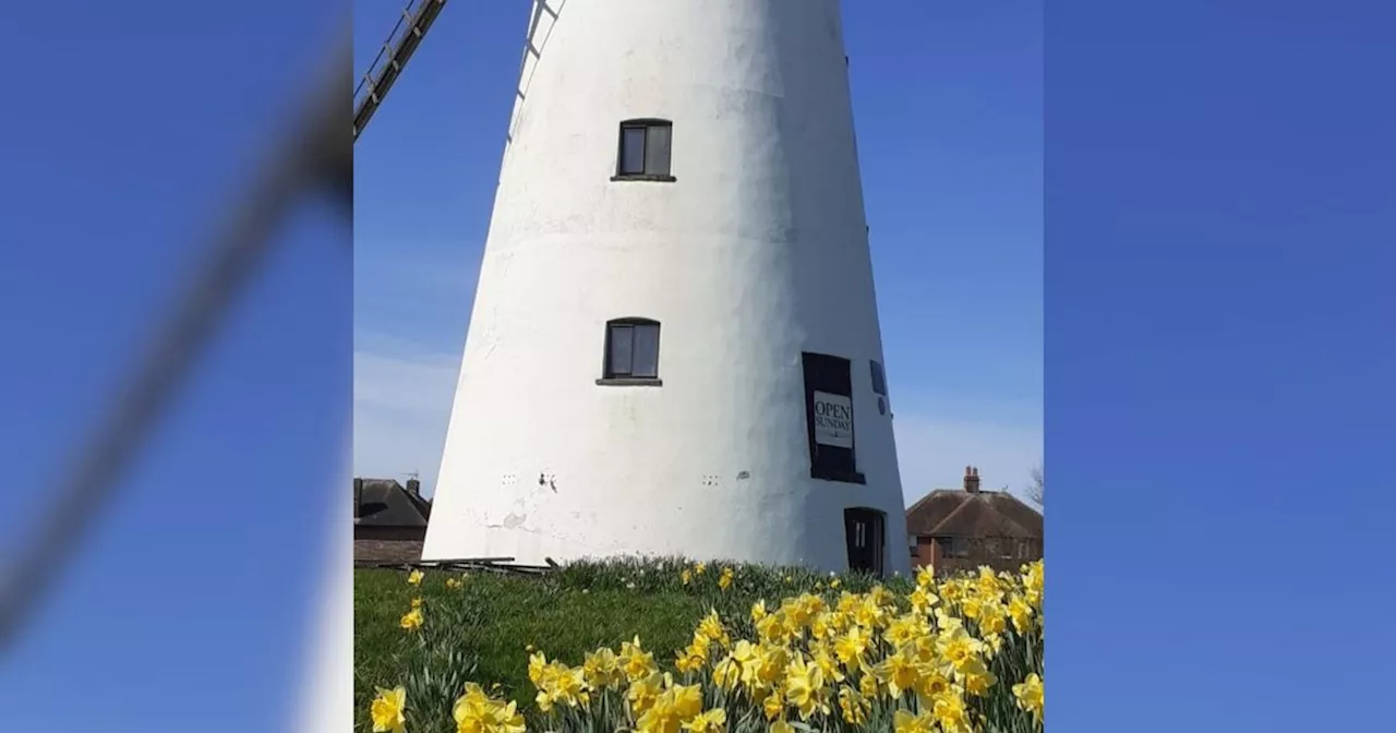 Blackpool windmill restoration on hold for 'emergency repairs'