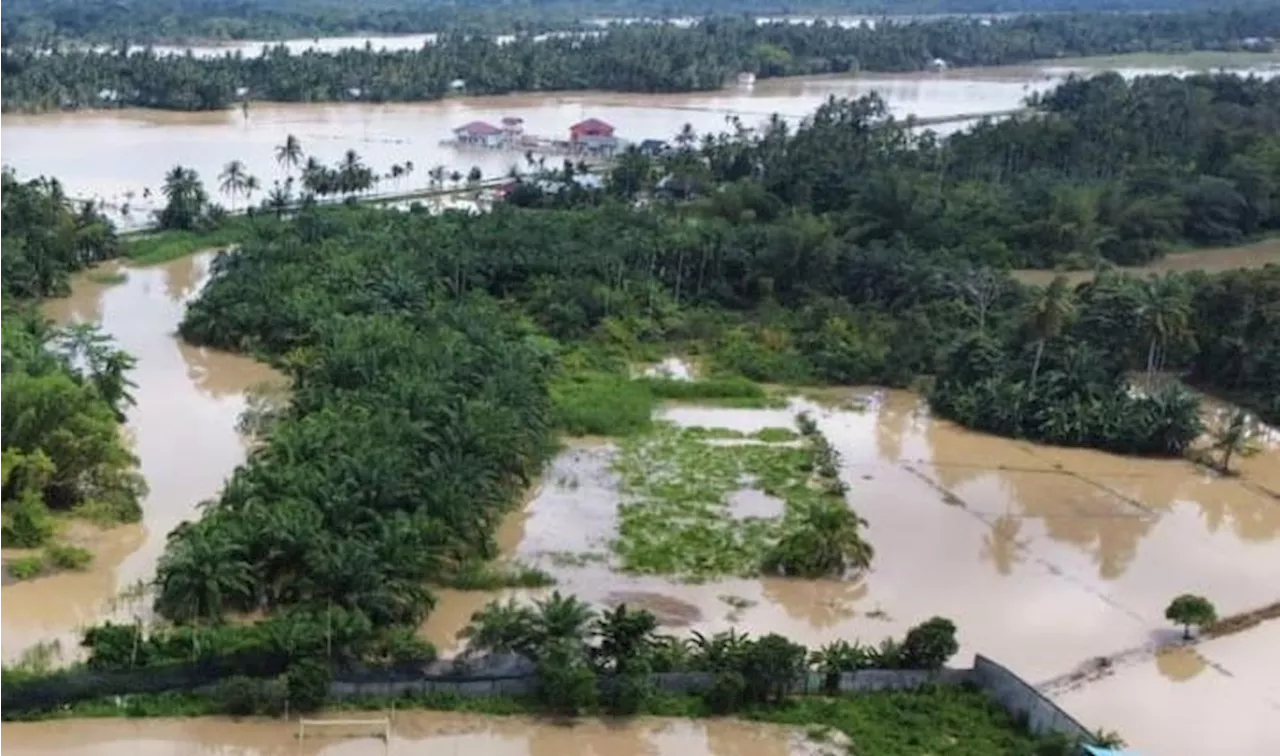 Setelah Diterjang Banjir, 200 Ha Lahan Sawah di Aceh Utara Rusak