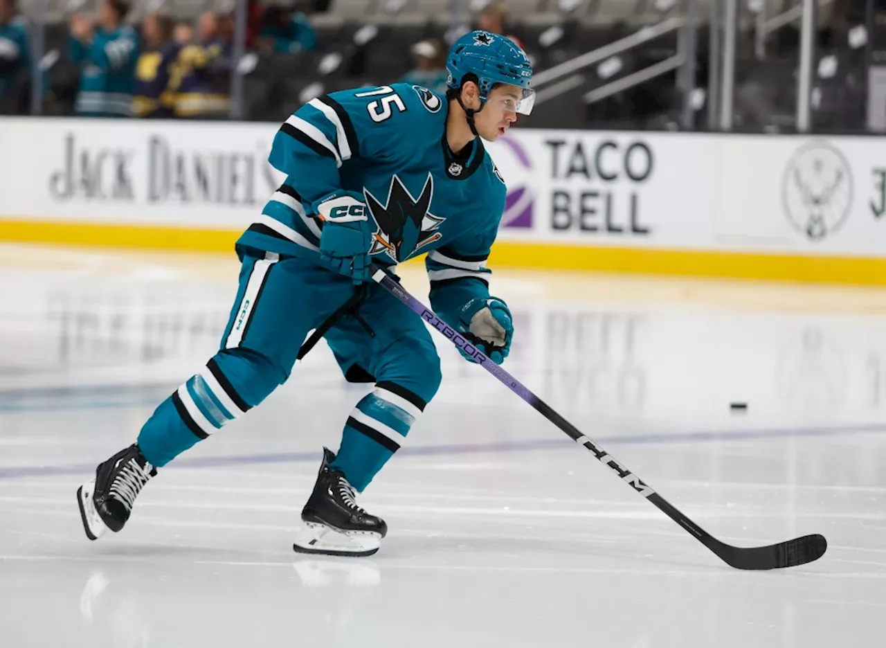 Sharks takeaways: Gush’s final push, Kostin’s camp, and can Hertl be replaced?