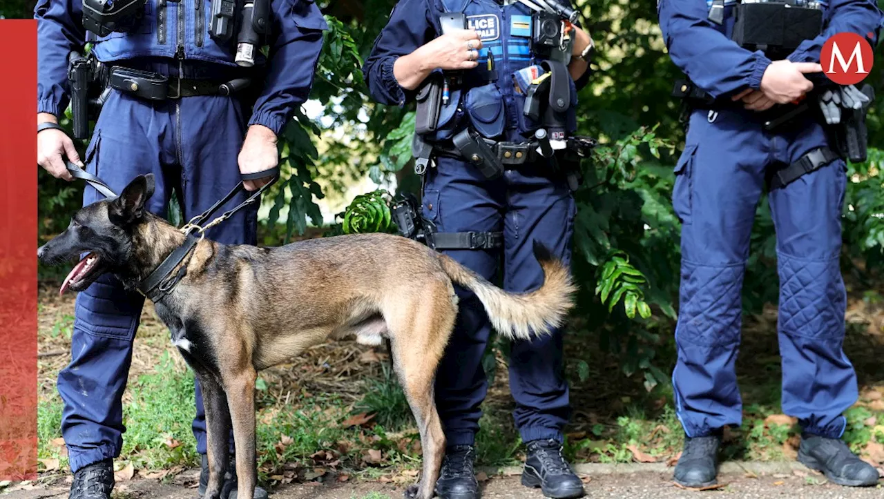 Apuñalan 50 veces y queman vivo a adolescente por conflicto de drogas en Francia