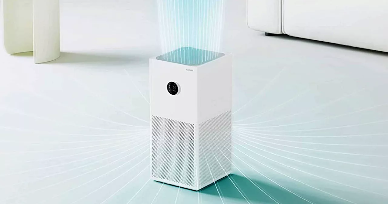 Amazon Great Indian Festival Sale 2024: दमघोंटु जहरीली हवा से राहत देंगे ये Air Purifier, पाएं 63% तक की छूट