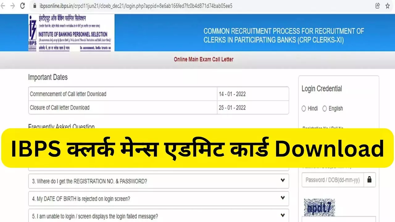 IBPS Clerk Mains Admit Card: ऐसे डाउनलोड करें आईबीपीएस क्लर्क मेन्स एडमिट कार्ड, जानिए पूरा डिटेल