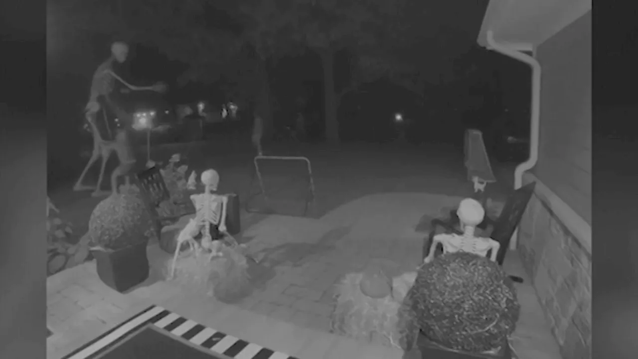 Video shows vandals destroying suburban family's Halloween decorations