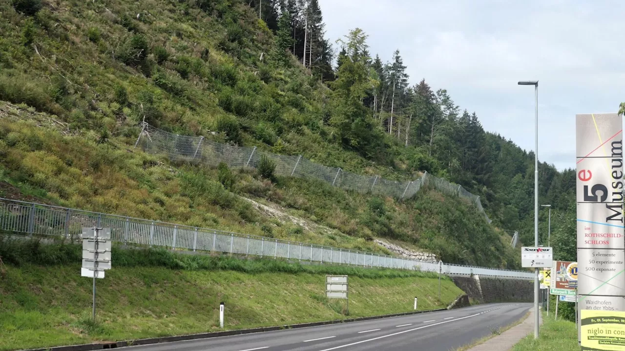 Schutzwälder haben Ybbstal vor größeren Schäden bewahrt