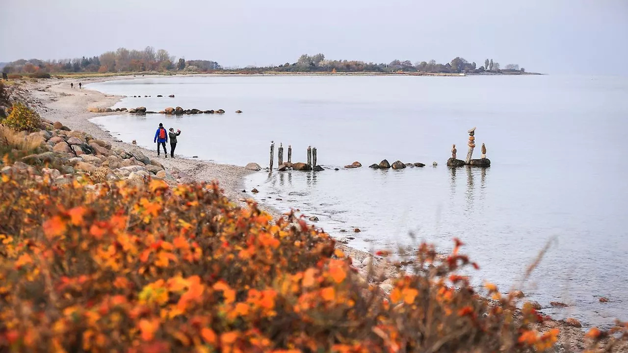 Hamburg & Schleswig-Holstein: Noch vielerorts freie Unterkünfte in den Herbstferien