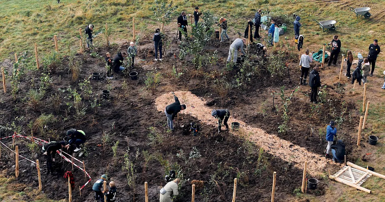 600 Bäume für Miniwald an der Hochschule Bielefeld gepflanzt