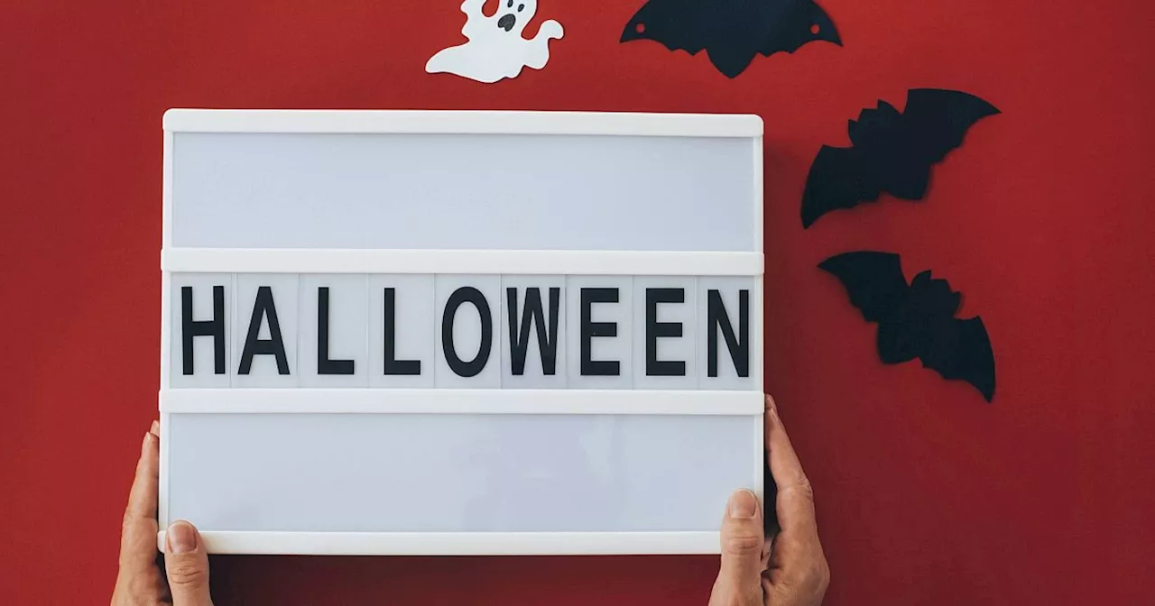 Halloween im Kreis Höxter - alle Veranstaltungen und Gruseltipps im Überblick