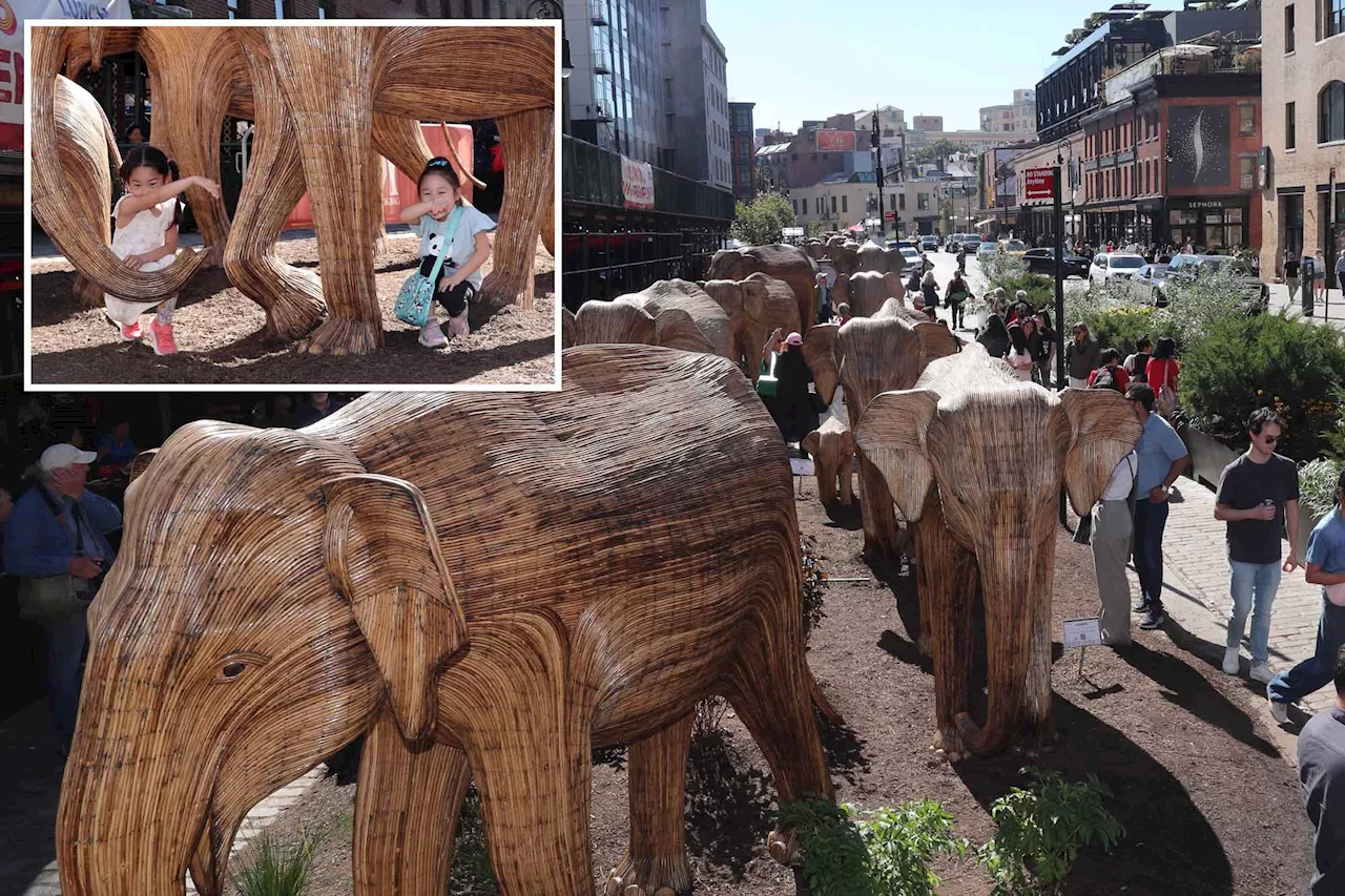 Herd of 100 life-sized elephants take over this NYC neighborhood in 'amazing' art installation